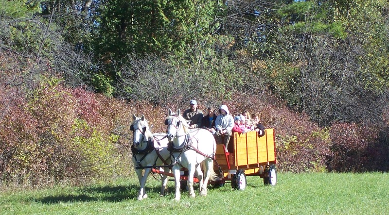 Painted Woods Farm wagon Painted Woods Farm wagon, Brandon VT