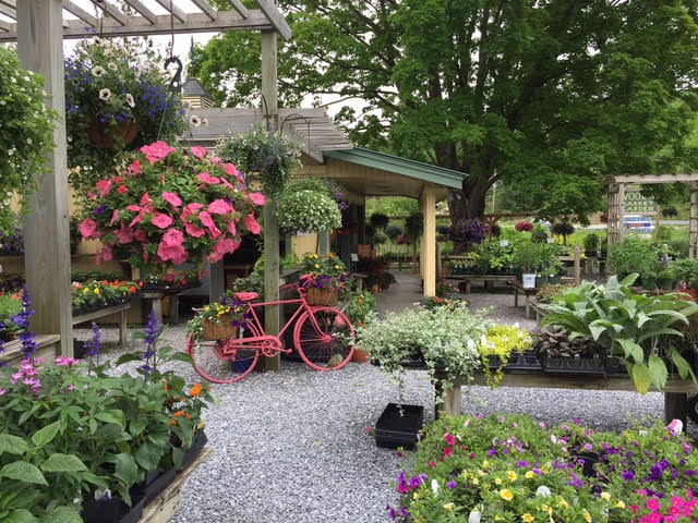 Woods Market Garden 02