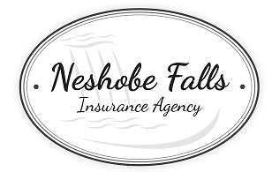 Neshobe Falls Insurance LOGO