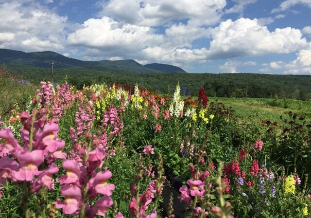 Farms, Gardens, Nurseries Banner